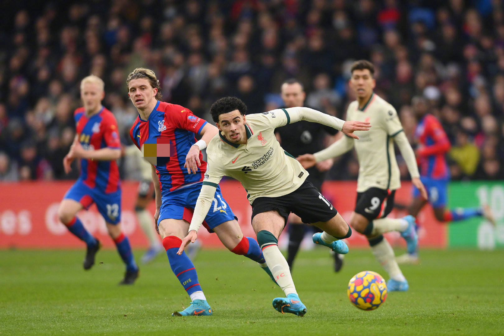 备极高的筹 备极高的筹