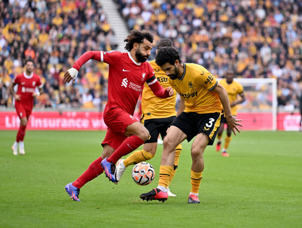 和皇家社会 和皇家社会